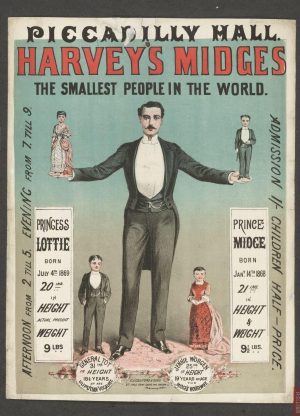 1884 Harvey midges