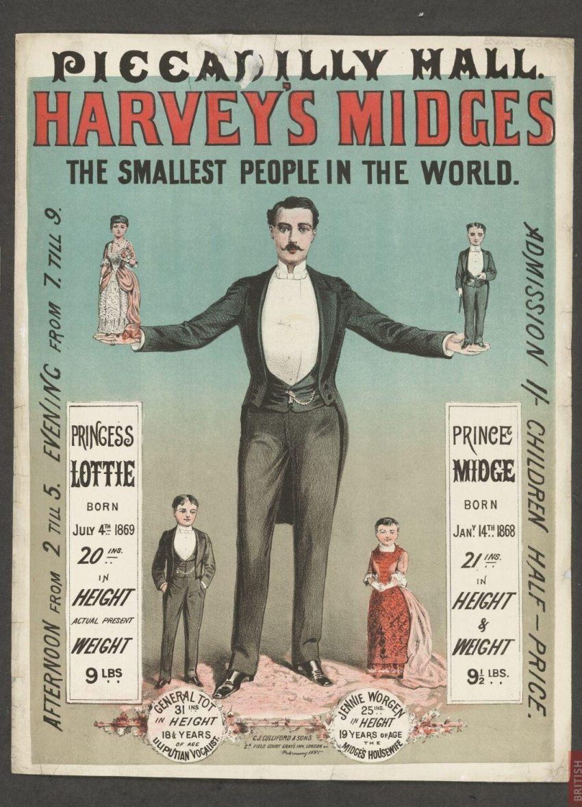 1884 Harvey midges