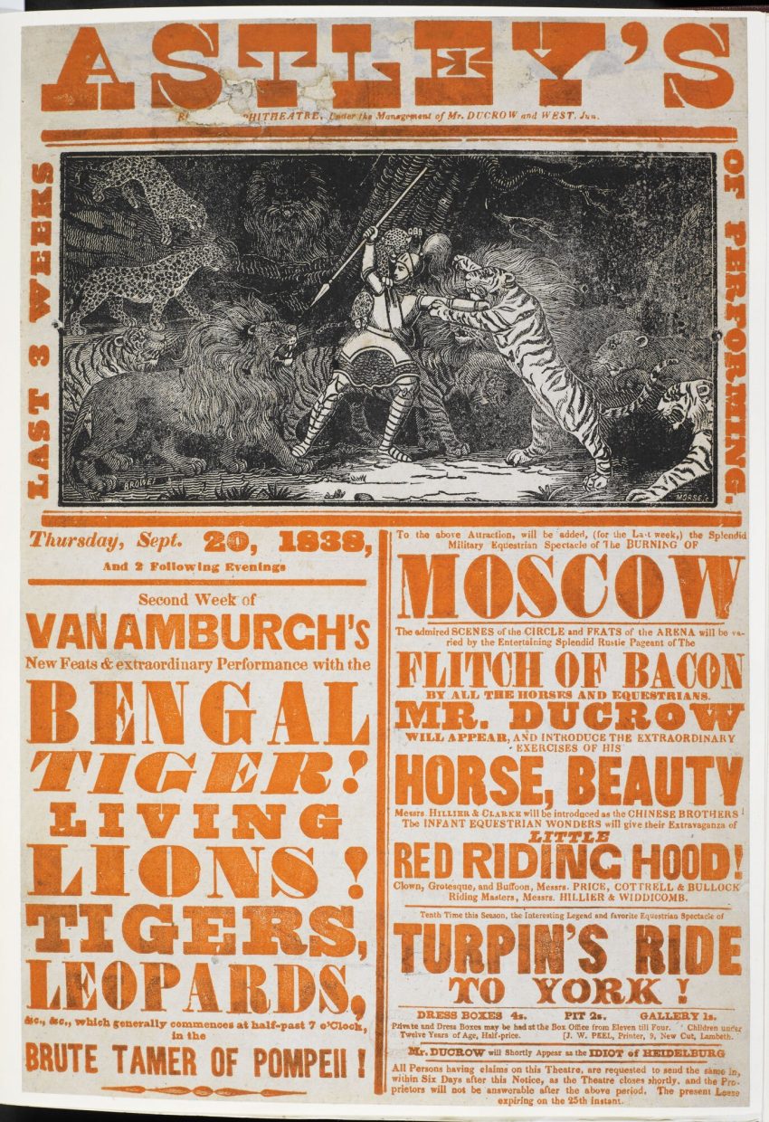 Circus B20073 87