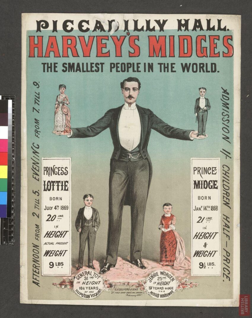 Poster "Harvey's midges"